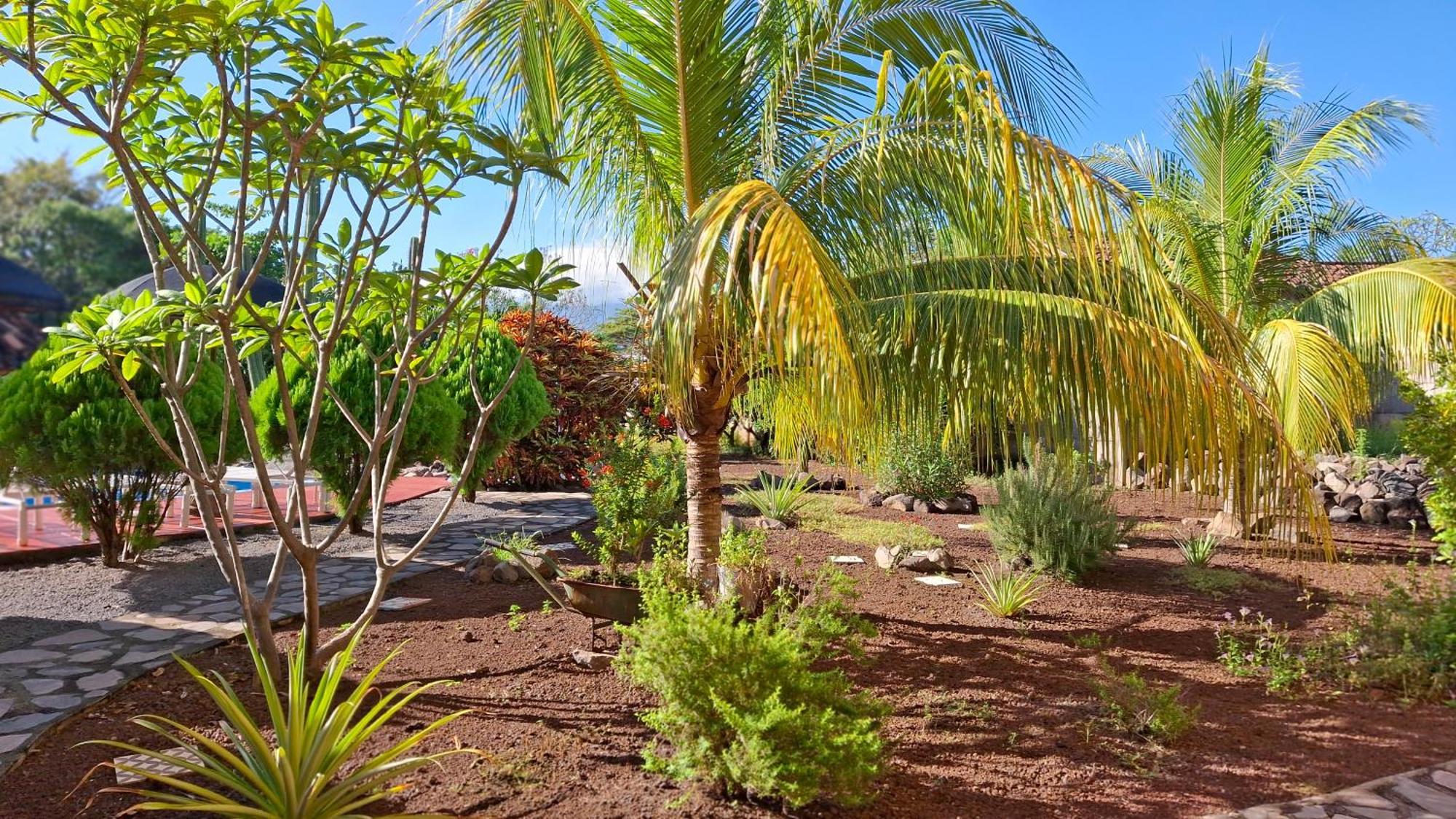 Hotel Jardin Garden De Granada Nicaragua Exterior photo