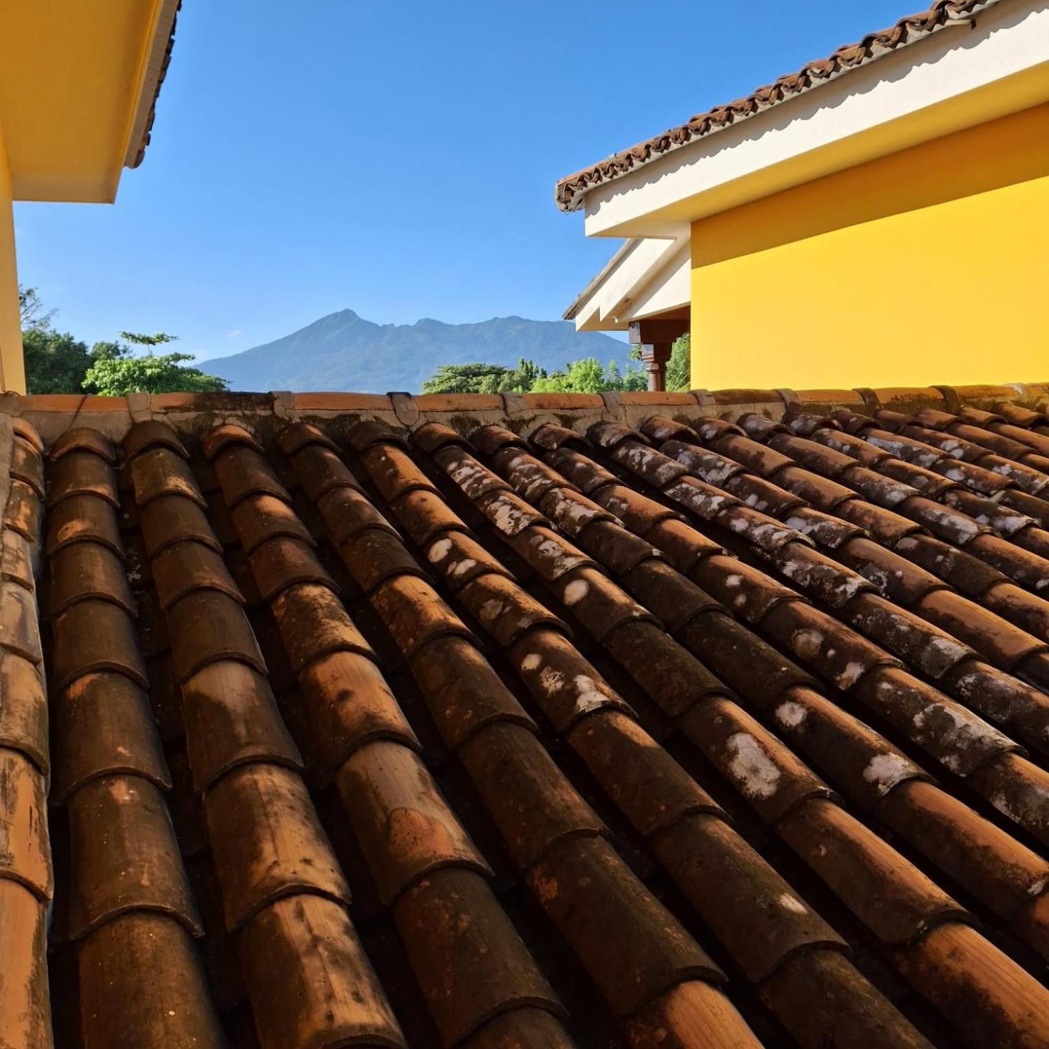 Hotel Jardin Garden De Granada Nicaragua Exterior photo