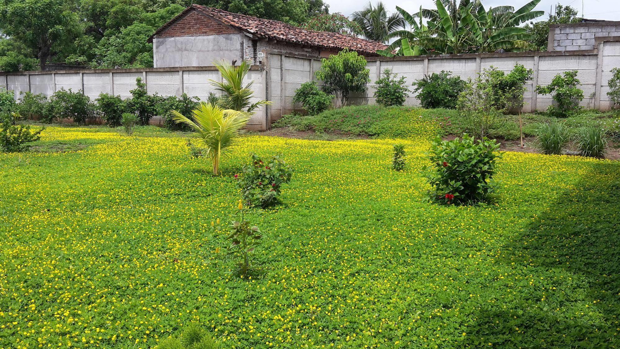 Hotel Jardin Garden De Granada Nicaragua Exterior photo